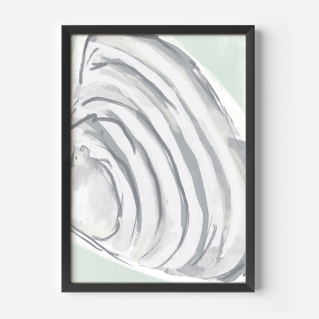 The Summer Shell