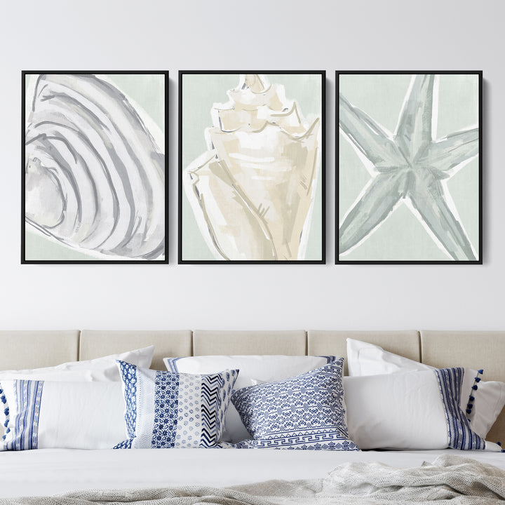 Coastal Finds Triptych - Set of 3