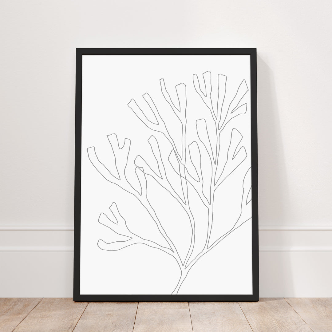 Minimalist Seaweed Illustration, No. 2