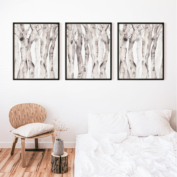 Modern Aspen Birch Tree Watercolor - Set of 3  - Art Prints or Canvases - Jetty Home