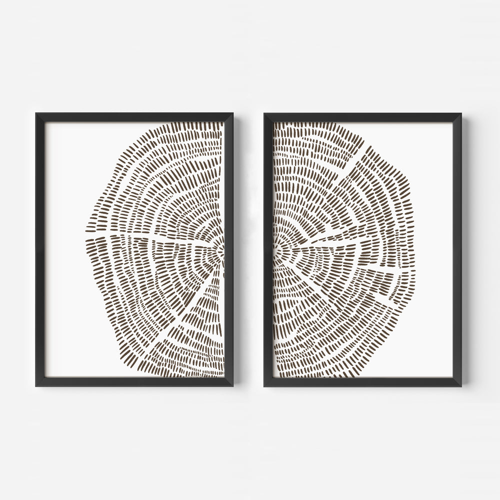 Tree Growth Rings Illustration - Set of 2  - Art Prints or Canvases - Jetty Home