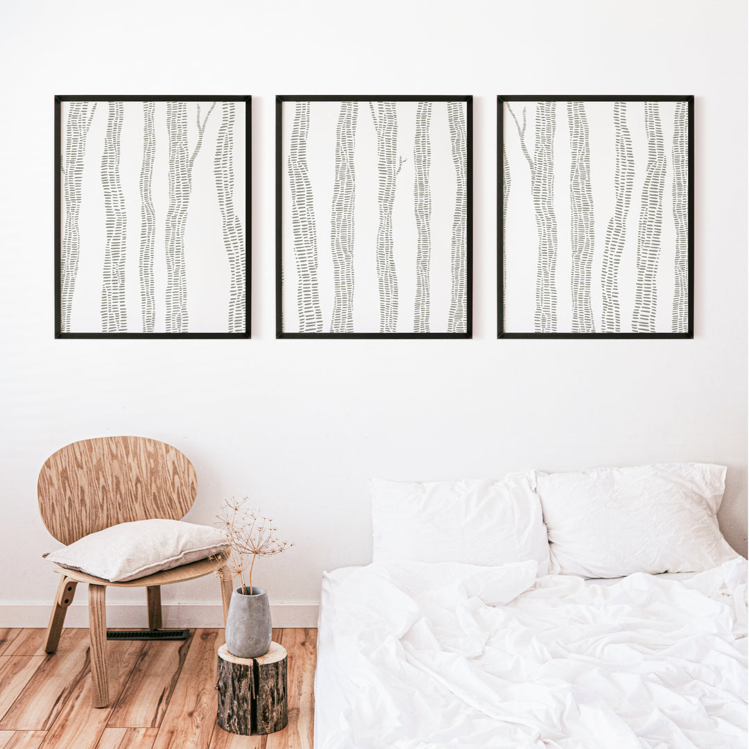 Gray Birch Trees - Set of 3  - Art Prints or Canvases - Jetty Home