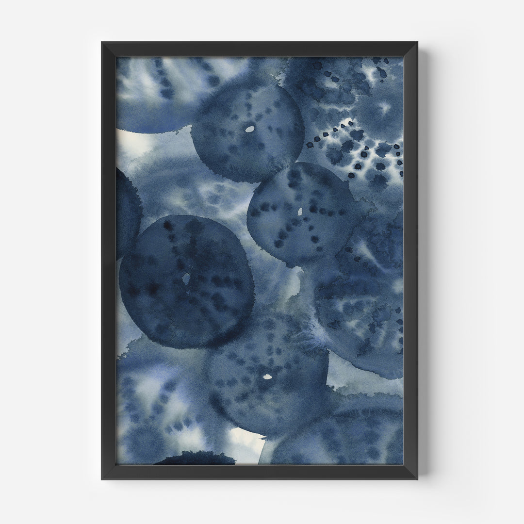 The Sea Urchins