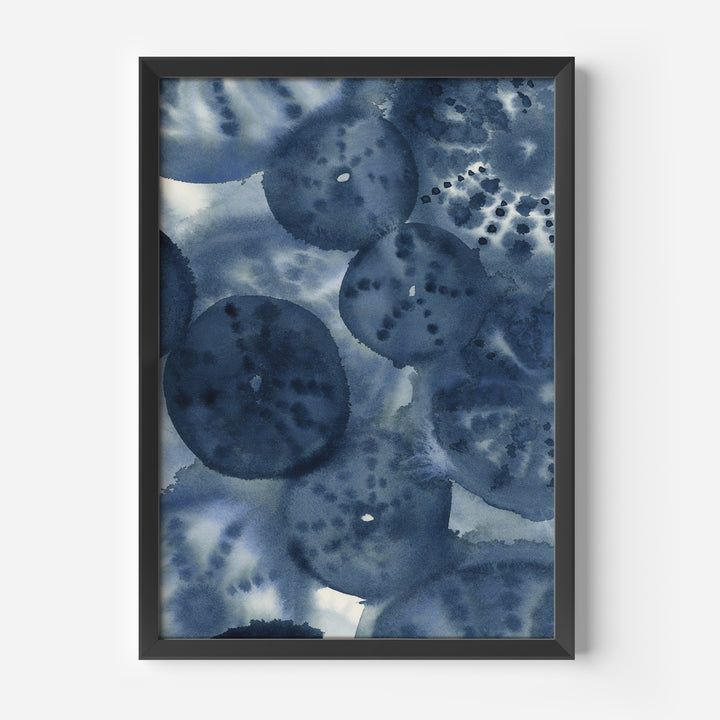 The Sea Urchins