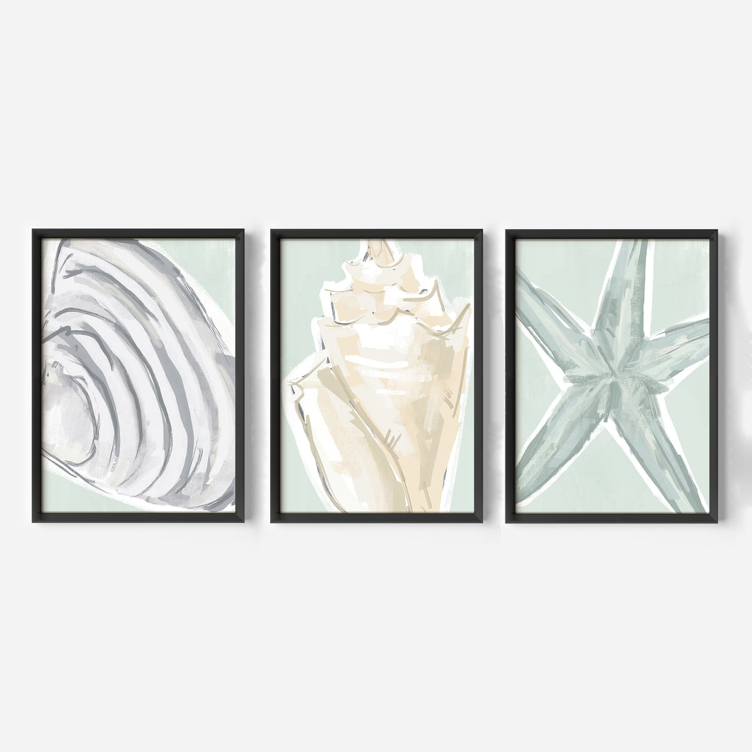 Coastal Finds Triptych - Set of 3