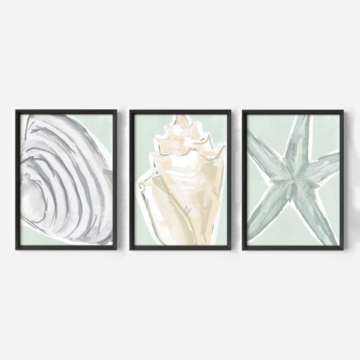 Coastal Finds Triptych - Set of 3
