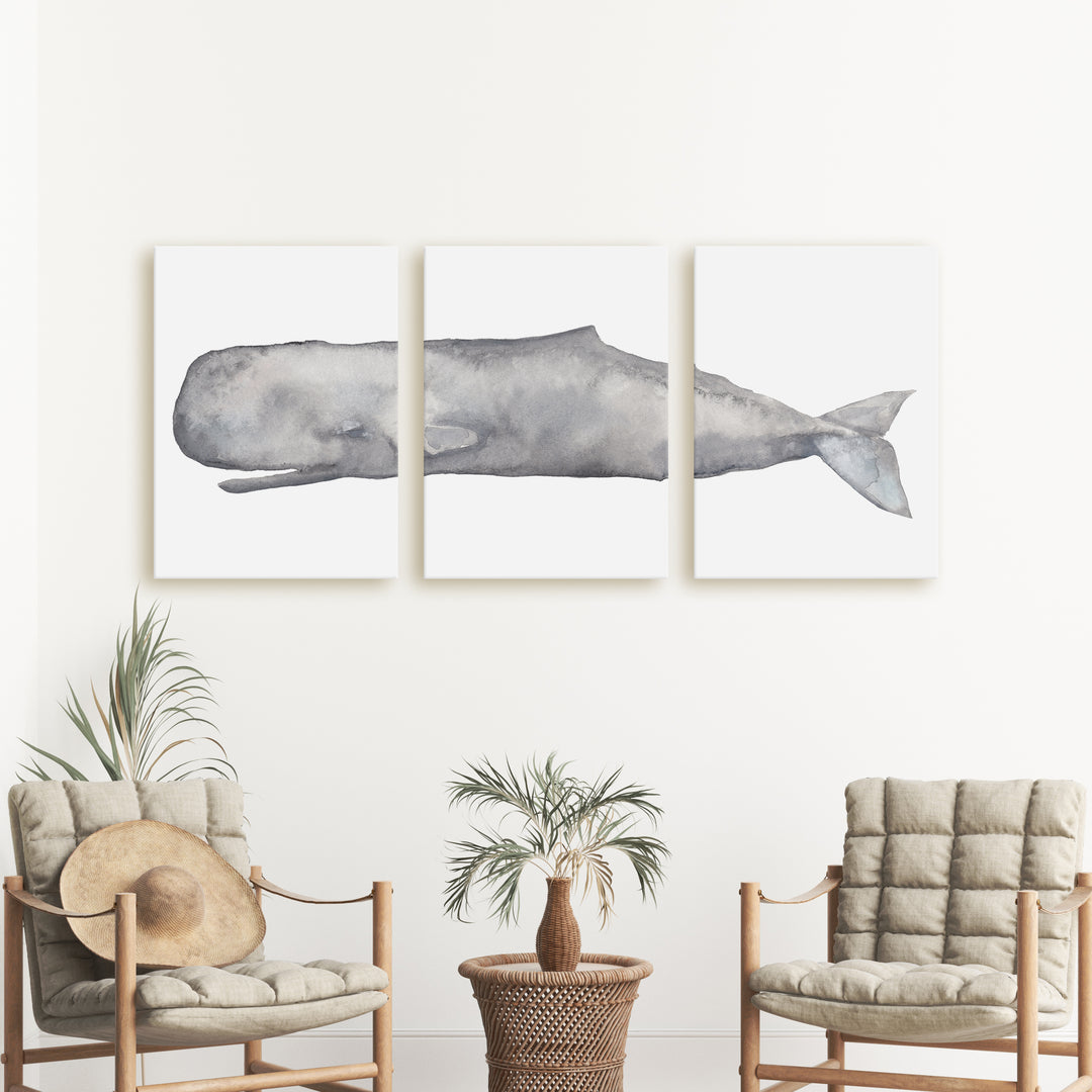 Sperm Whale Watercolor - Set of 3  - Art Prints or Canvases - Jetty Home