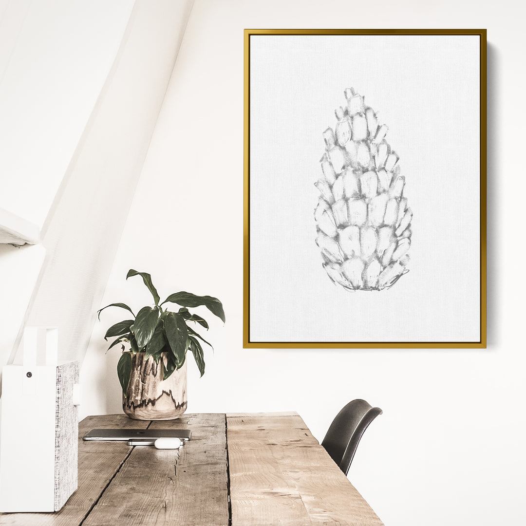 Pine Cone Illustration