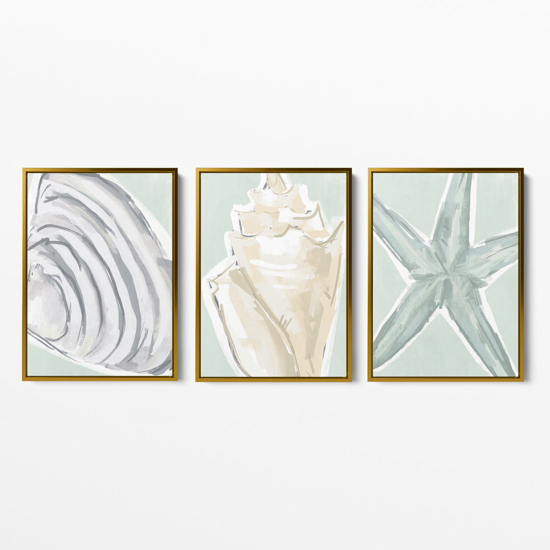 Coastal Finds Triptych - Set of 3