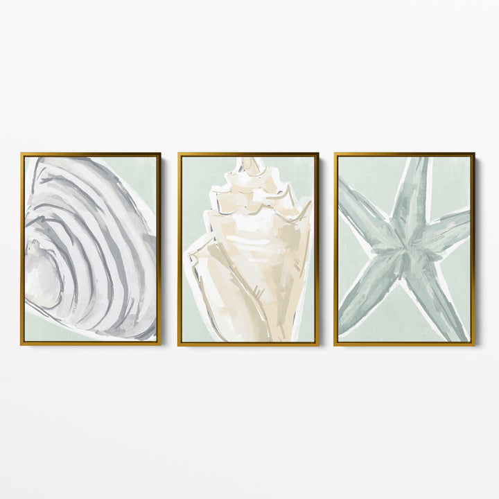 Coastal Finds Triptych - Set of 3