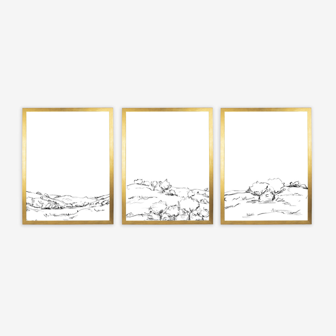 The Hillside Oak Trees - Set of 3