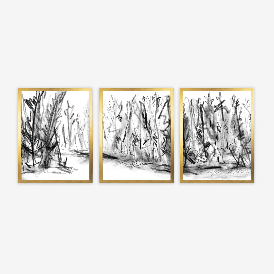 Woods Forest Black and White Sketch - Set of 3