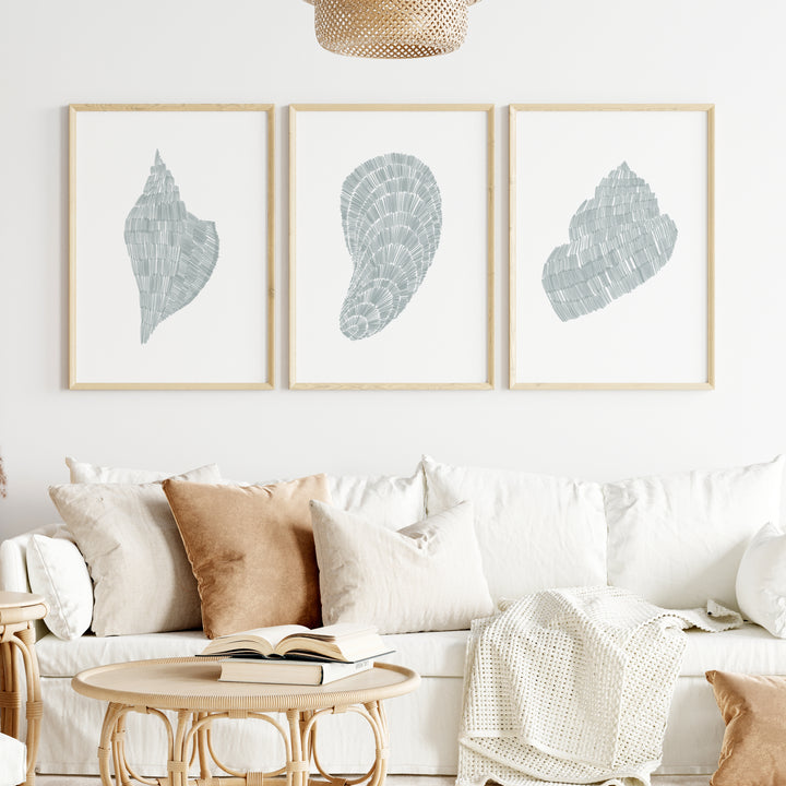 Deconstructed Seashell Trio, No. 1  - Set of 3  - Art Prints or Canvases - Jetty Home