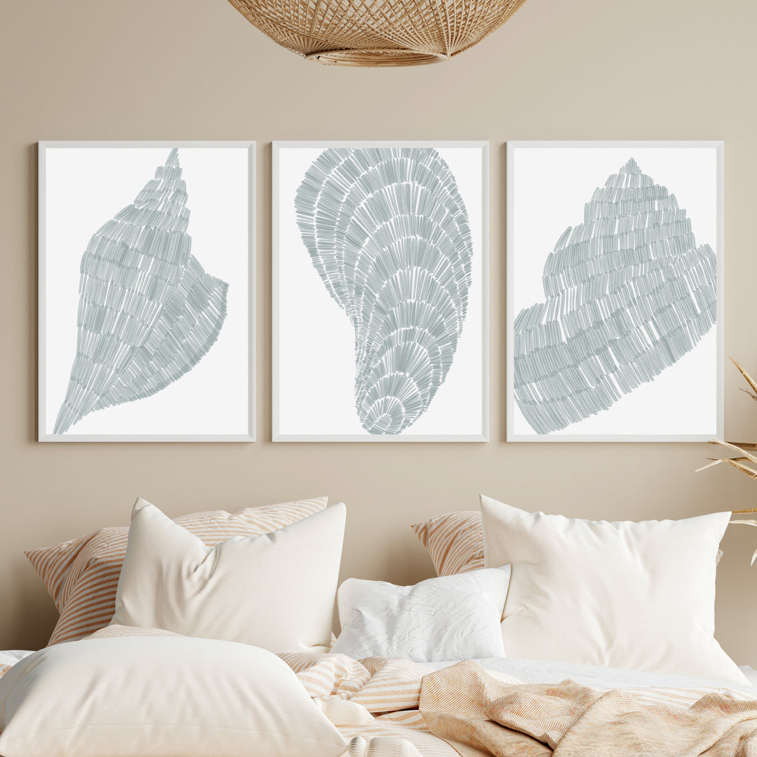 Salty Shells Triptych  - Set of 3  - Art Prints or Canvases - Jetty Home