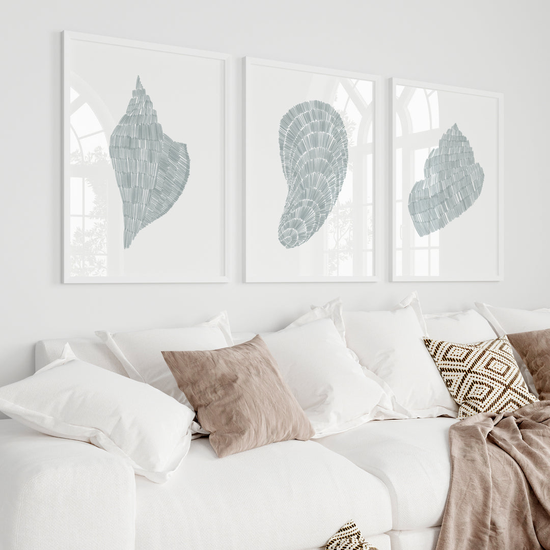 Deconstructed Seashell Trio, No. 1  - Set of 3  - Art Prints or Canvases - Jetty Home