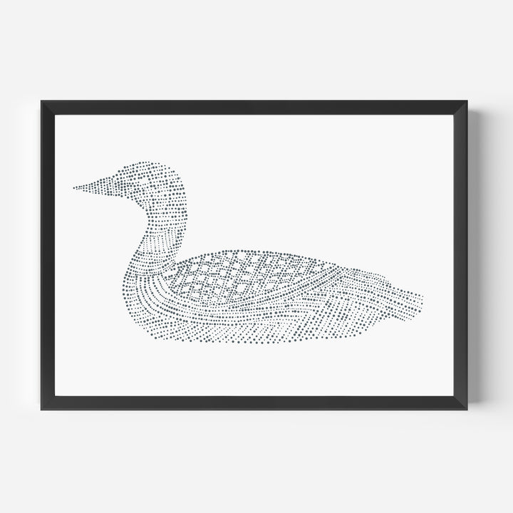 Common Loon Study