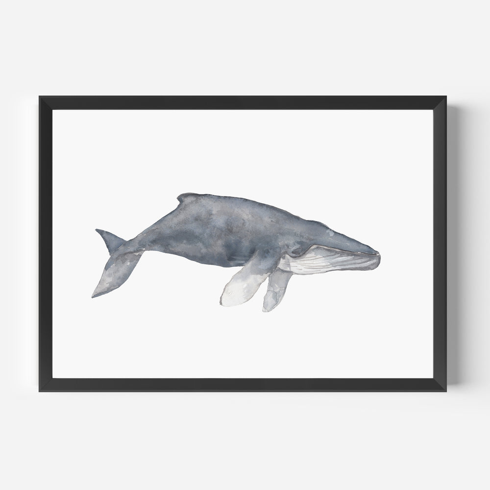 Watercolor Humpback Whale Painting - Jetty Home
