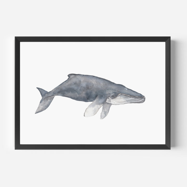 Watercolor Humpback Whale Painting - Jetty Home