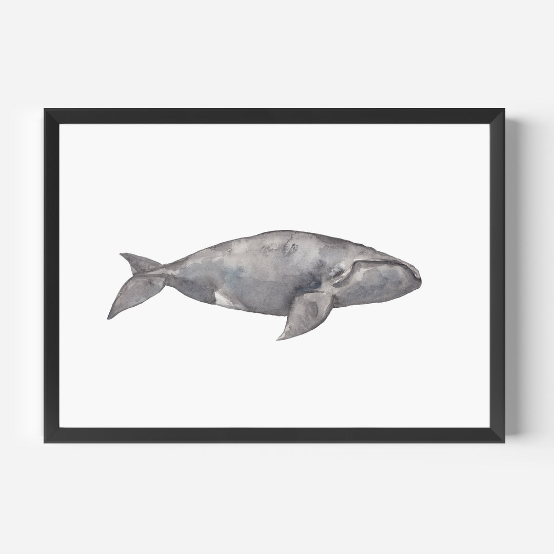Watercolor Right Whale Painting - Jetty Home
