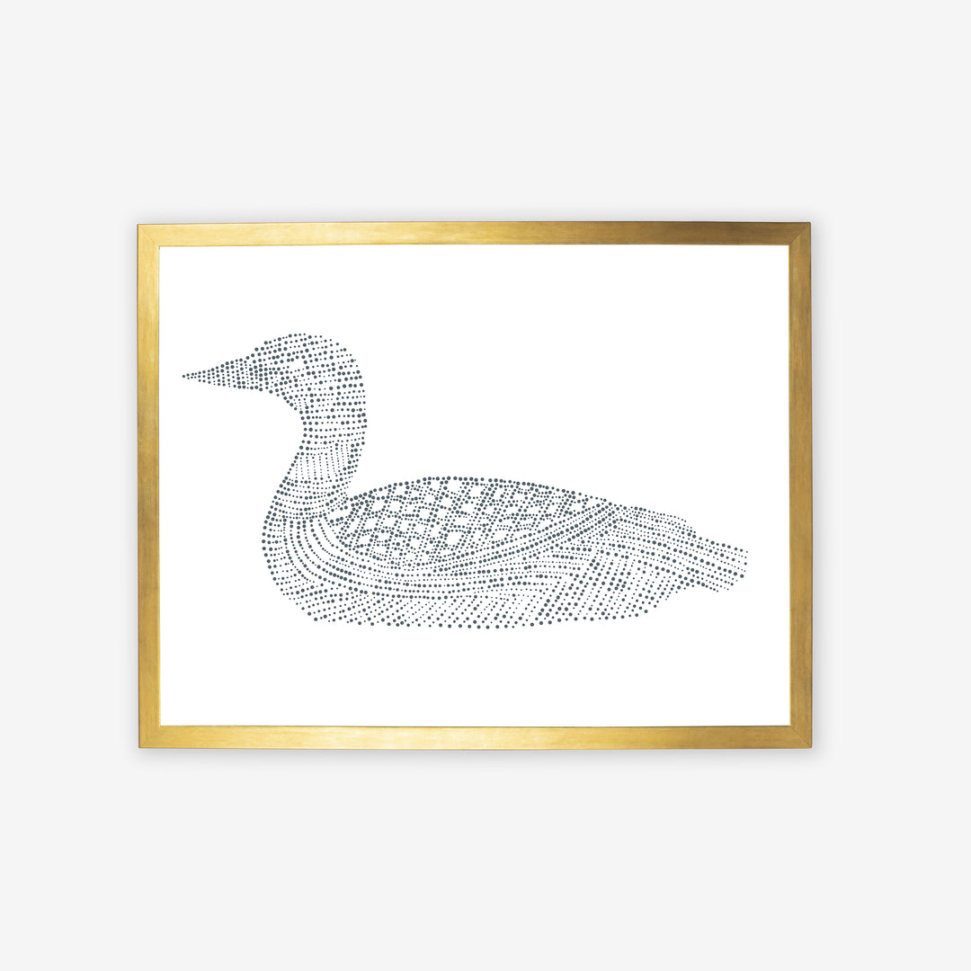 Common Loon Study