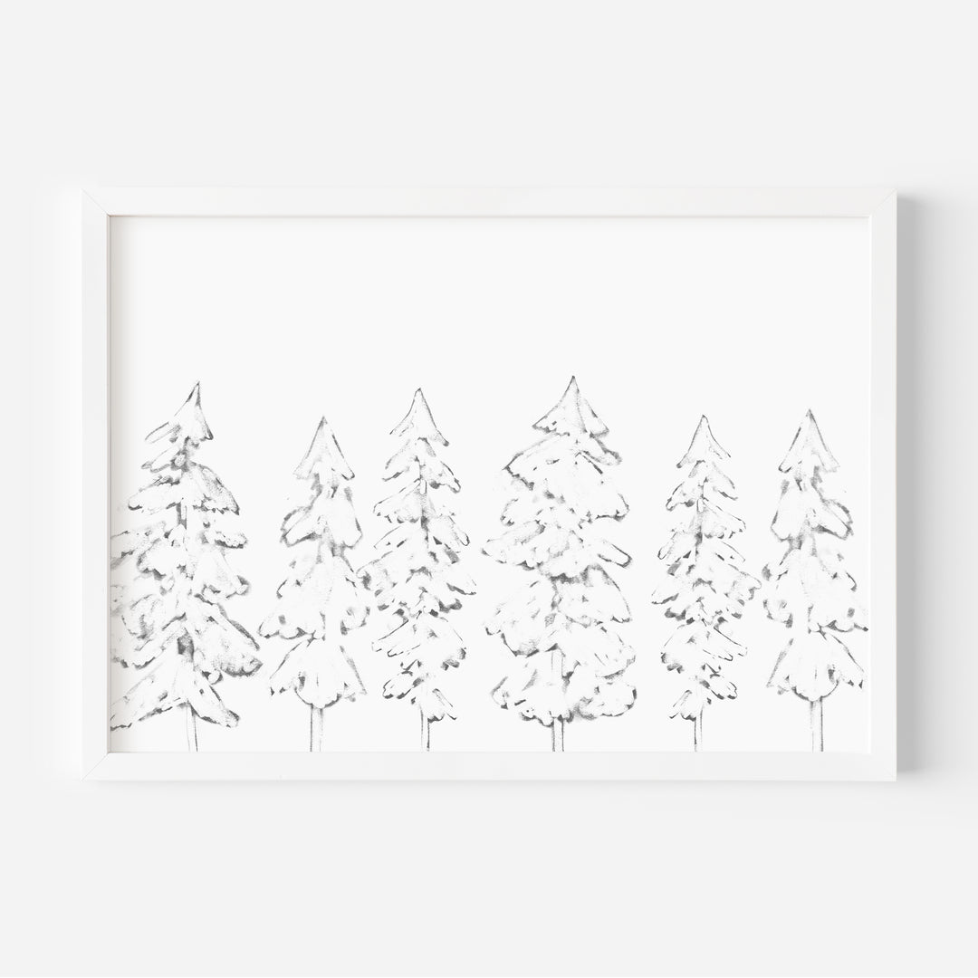 Evergreen Tree Illustration