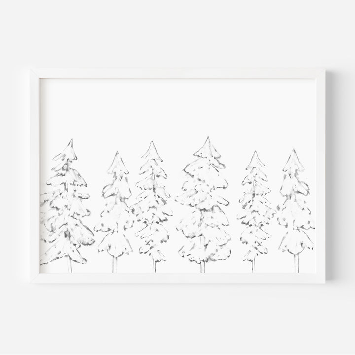 Evergreen Tree Illustration