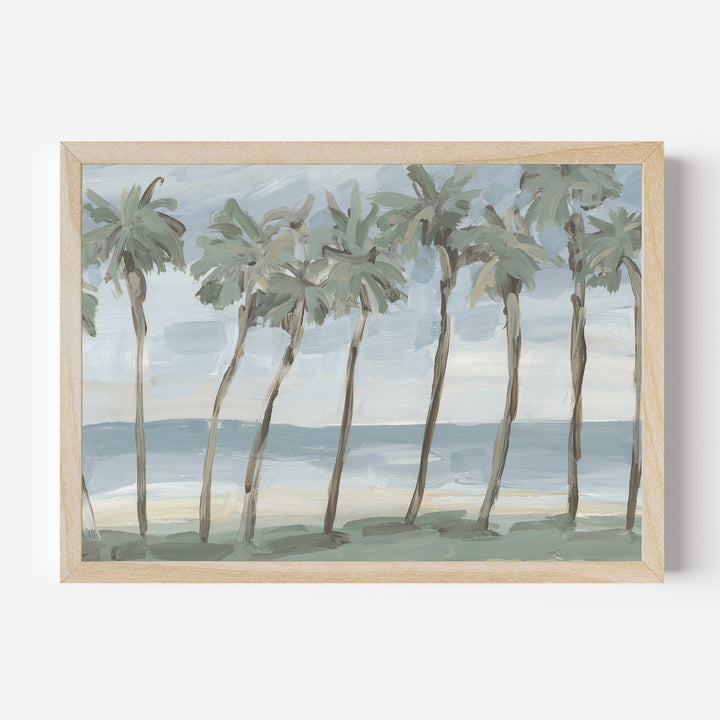 Beach Palm Row