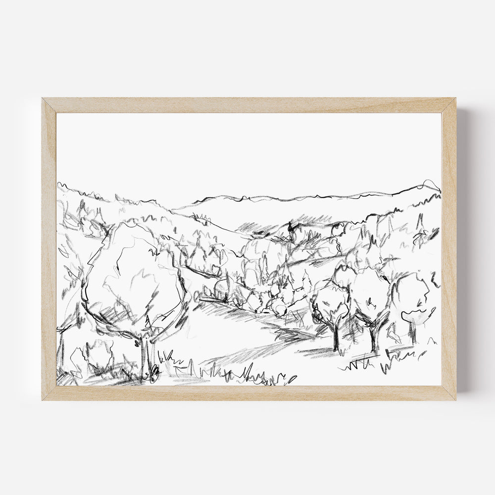 Forest Views Illustration - Jetty Home