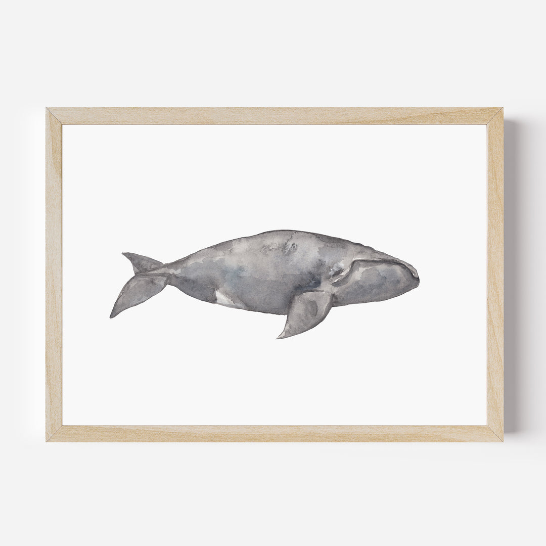 Watercolor Right Whale Painting - Jetty Home