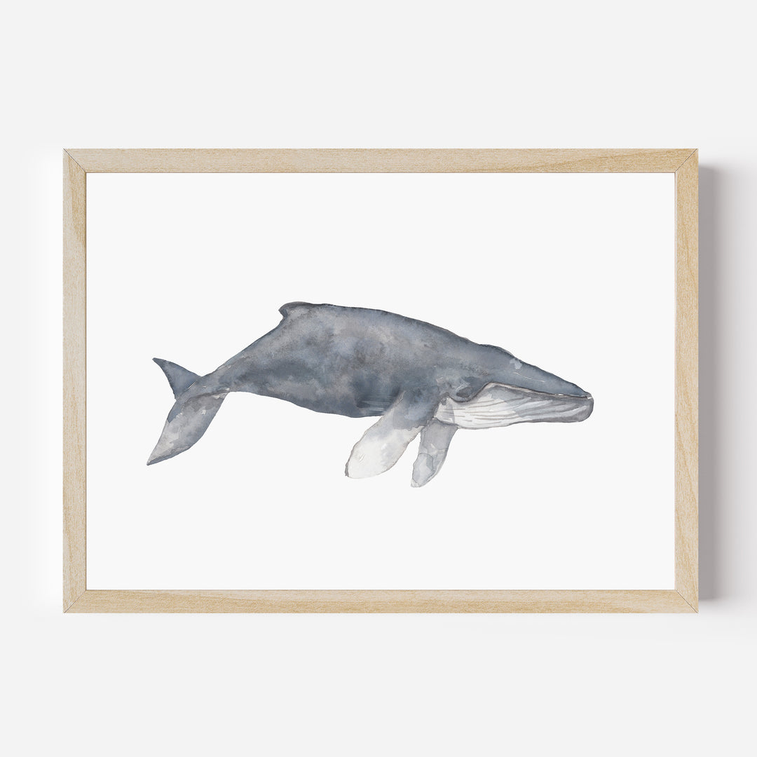 Watercolor Humpback Whale Painting - Jetty Home