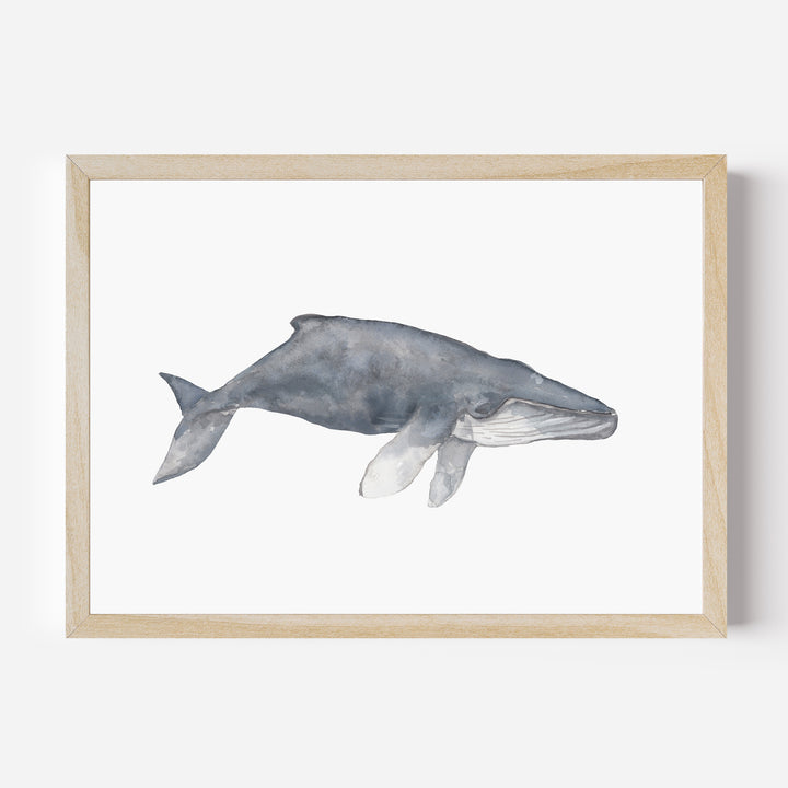 Watercolor Humpback Whale Painting - Jetty Home