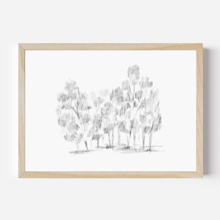Dappled Hallow