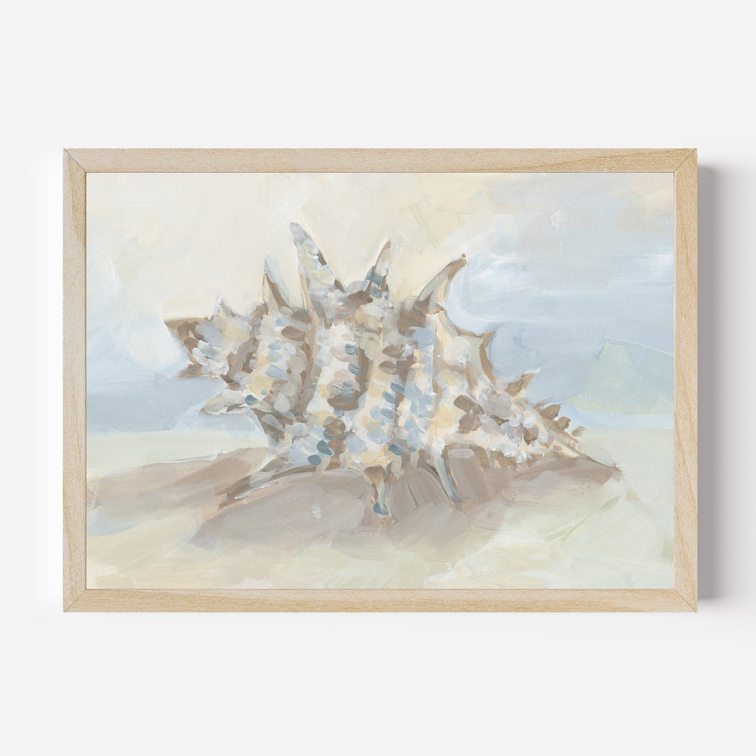 Neutral Coastal Seashell, No. 2