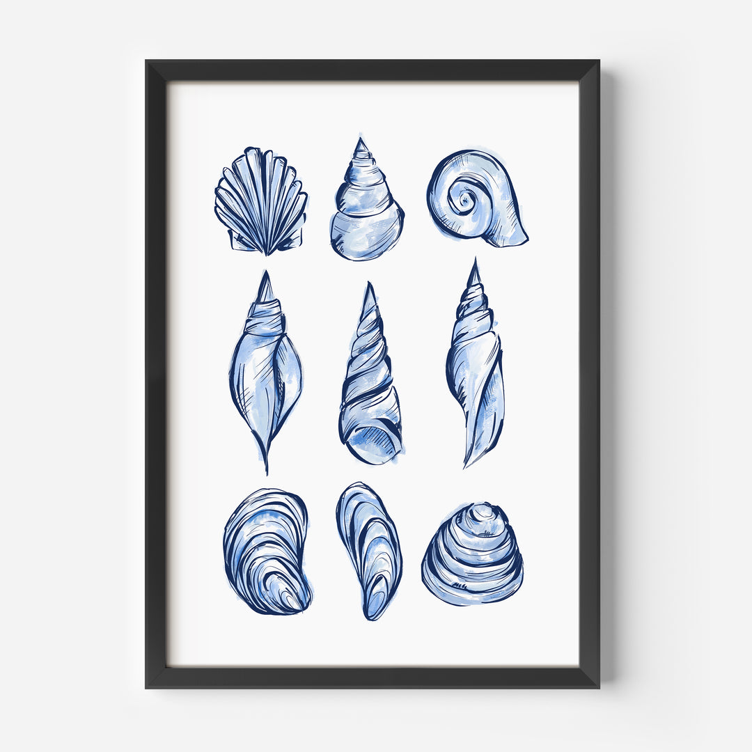 Blue Shell Study - Jetty Home