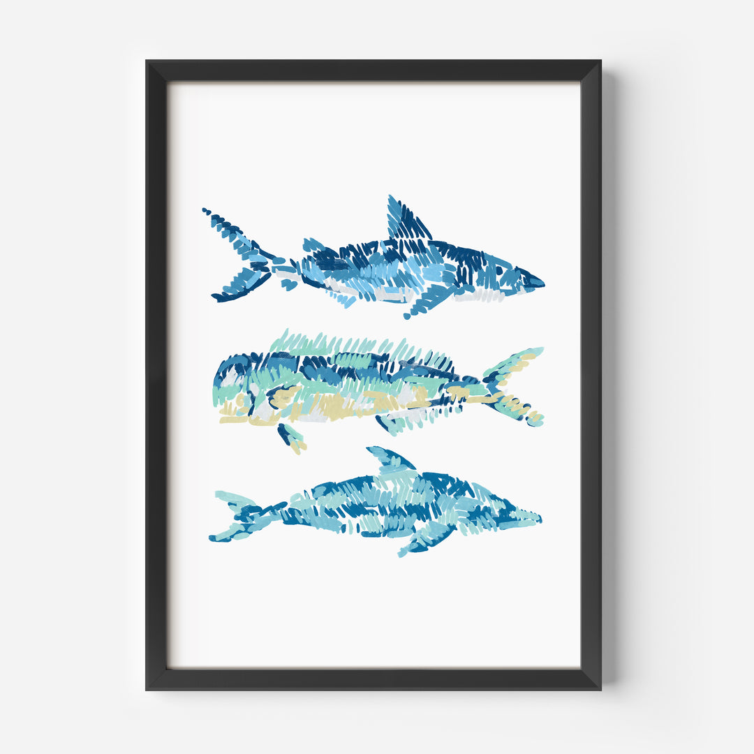 Tropical Sea Life