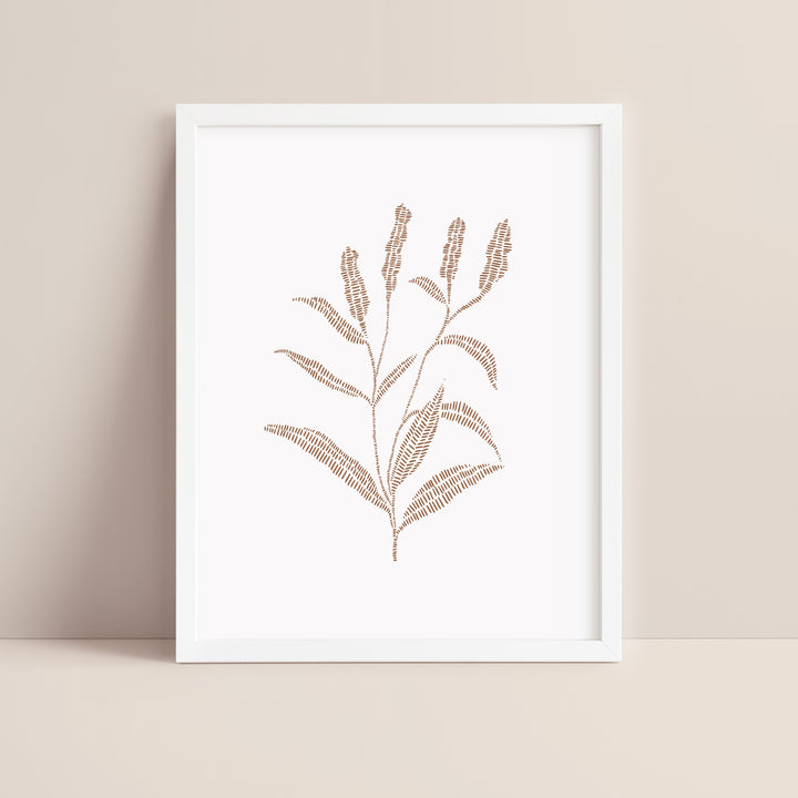 Buckwheat Botanical Drawing - Jetty Home