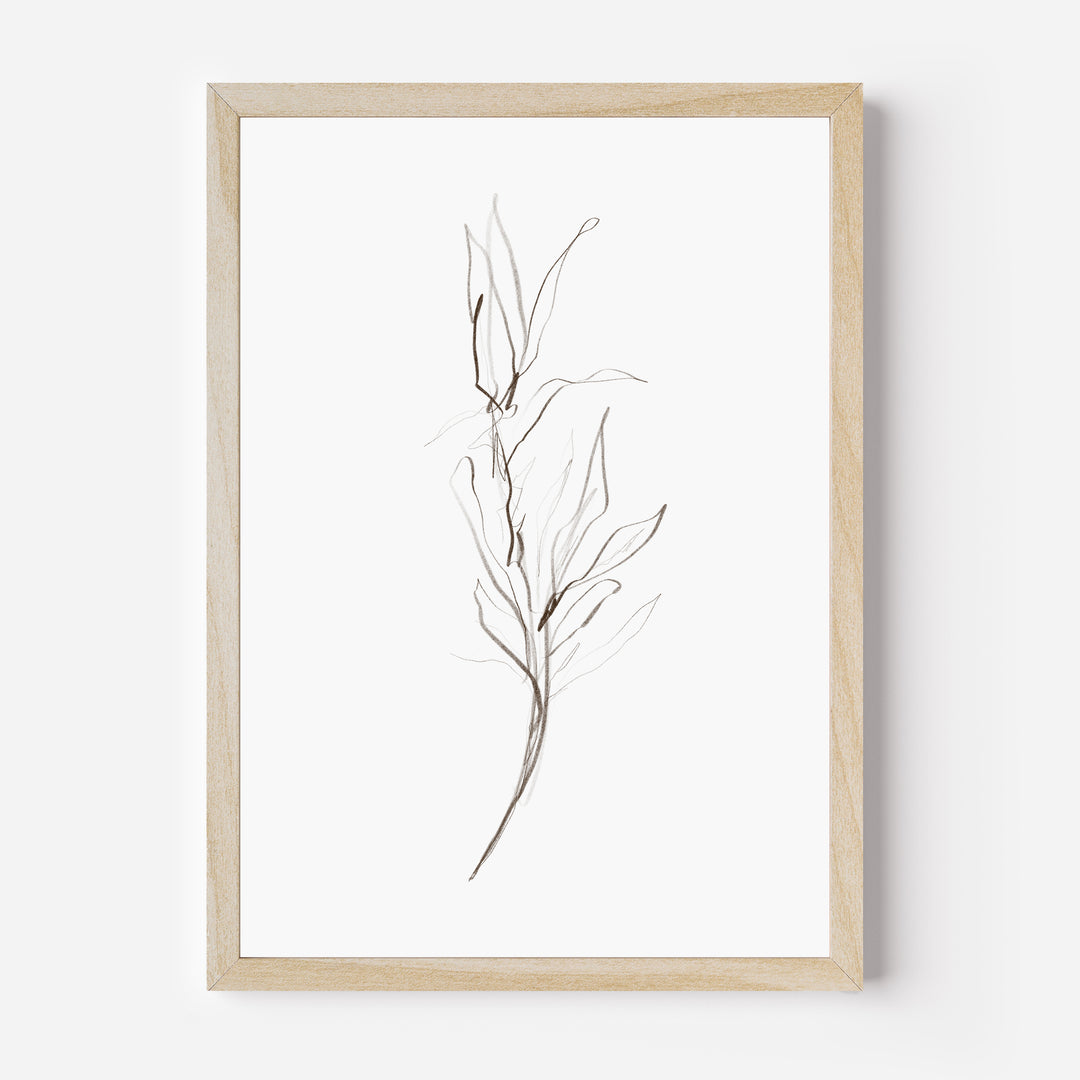 Minimalist Fall Plant Study, No. 1