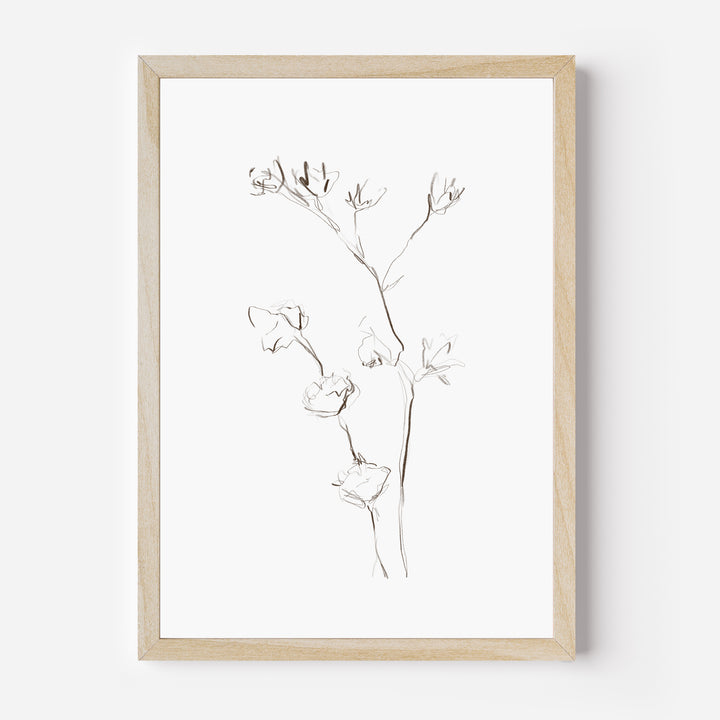 Minimalist Fall Plant Study, No. 2