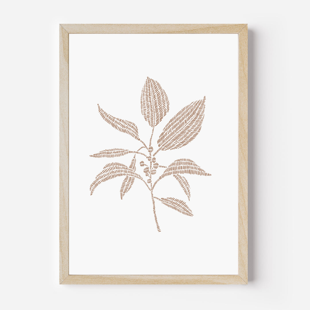 Buckthorn Botanical Drawing - Jetty Home