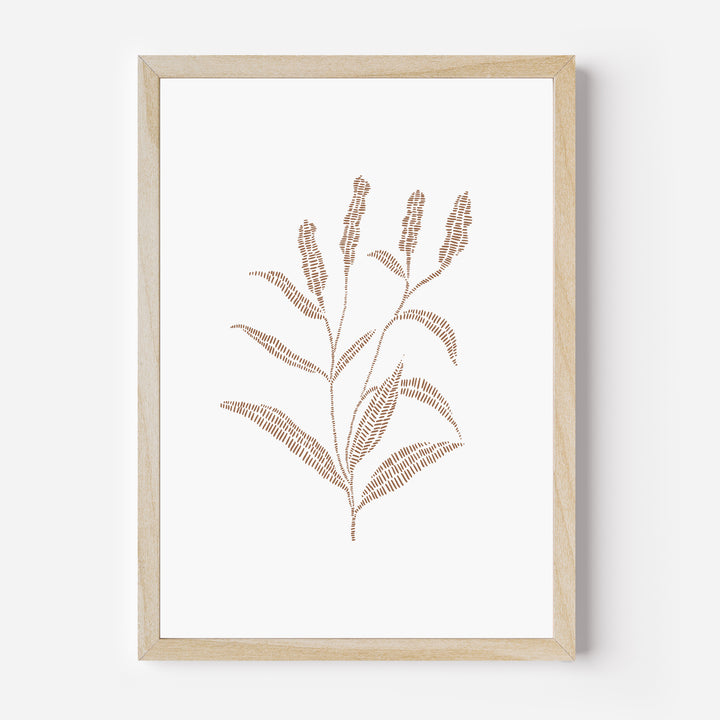 Buckwheat Botanical Drawing - Jetty Home