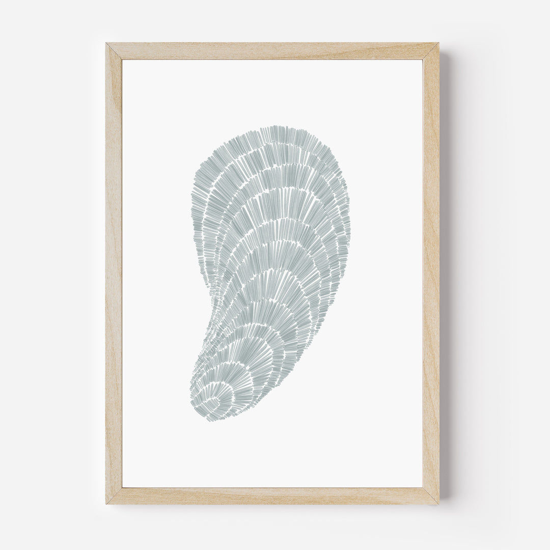 Deconstructed Mussel Shell - Art Print or Canvas - Jetty Home