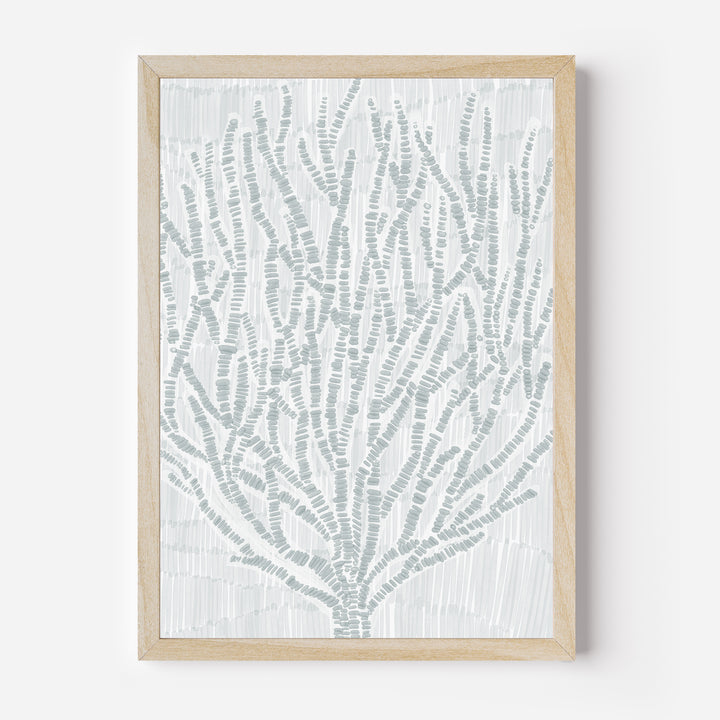 Drifted Seaweed Botanical - Art Print or Canvas - Jetty Home