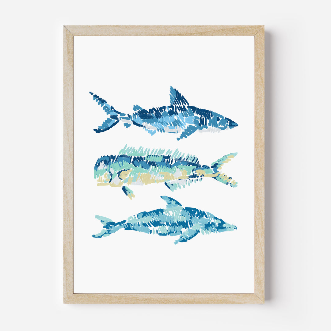 Tropical Sea Life