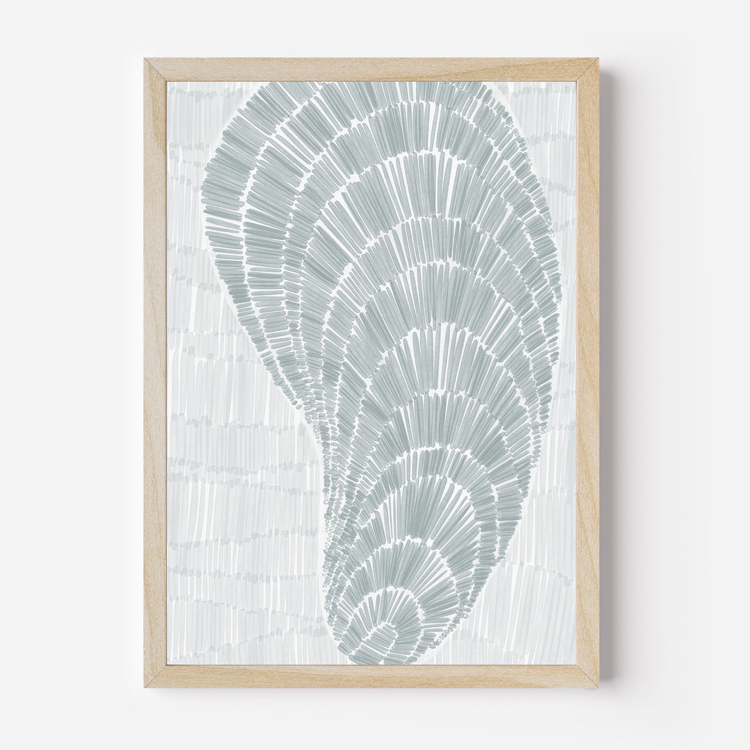 Drifted Mussel Shell - Art Print or Canvas - Jetty Home