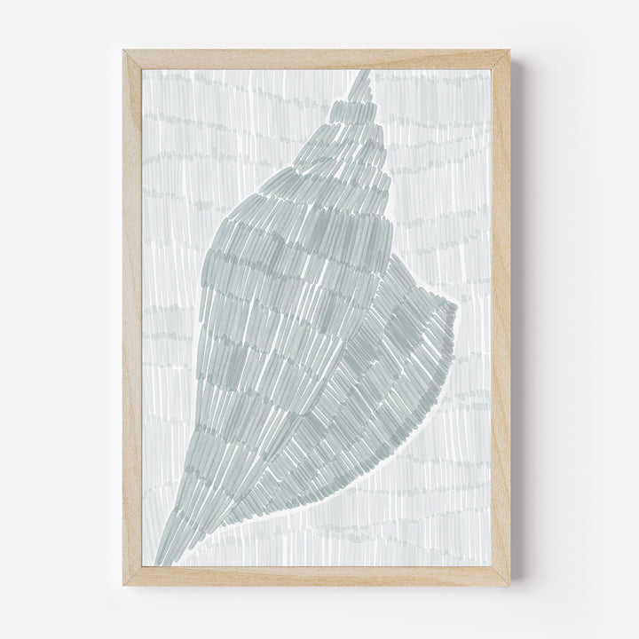 Drifted Conch Shell - Art Print or Canvas - Jetty Home