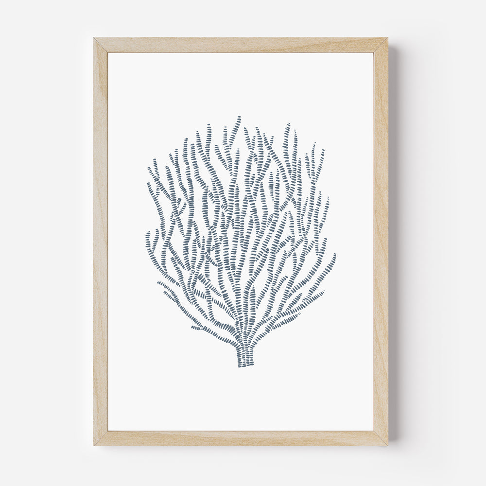 Minimalist Seaweed - Jetty Home
