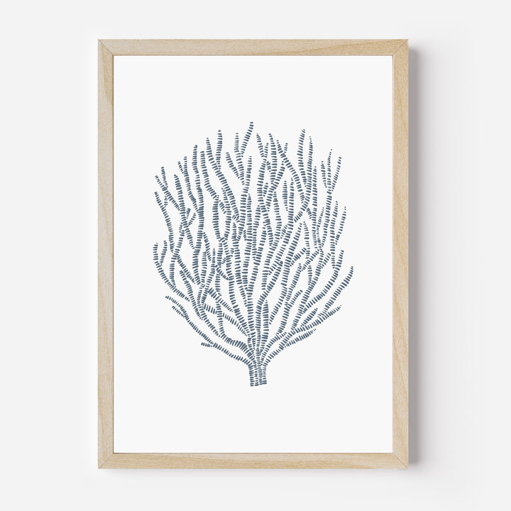 Minimalist Seaweed - Jetty Home