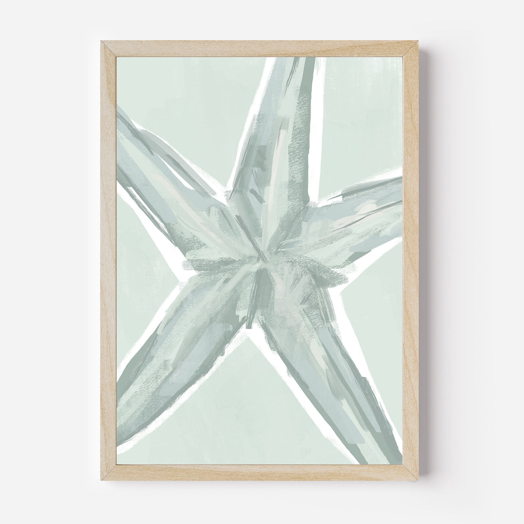 The Summer Starfish