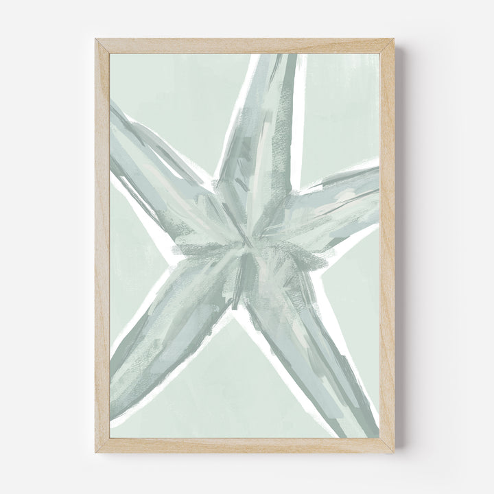 The Summer Starfish