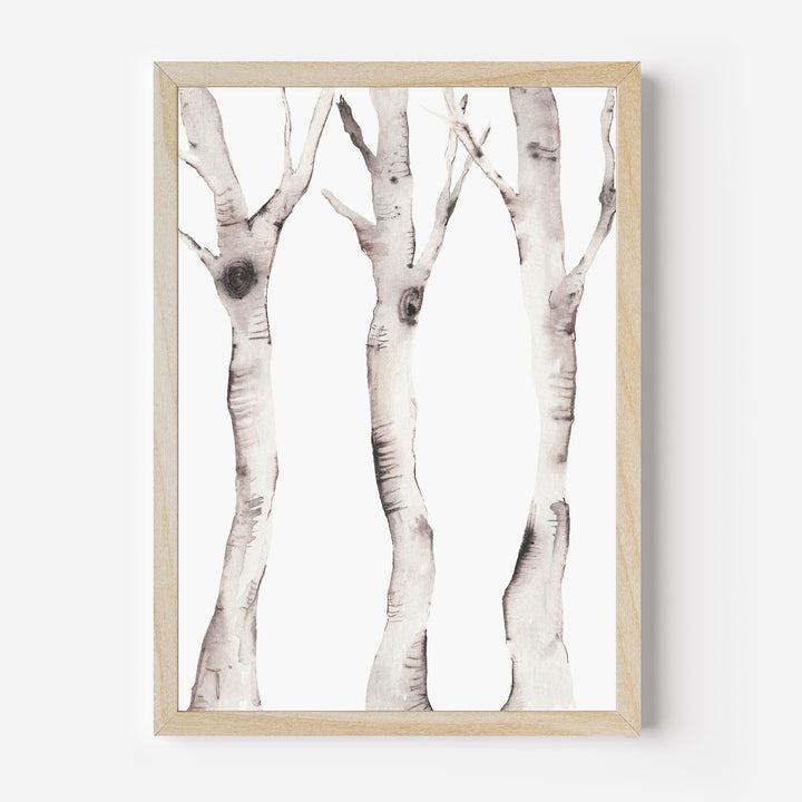 Watercolor Aspen Birch Tree